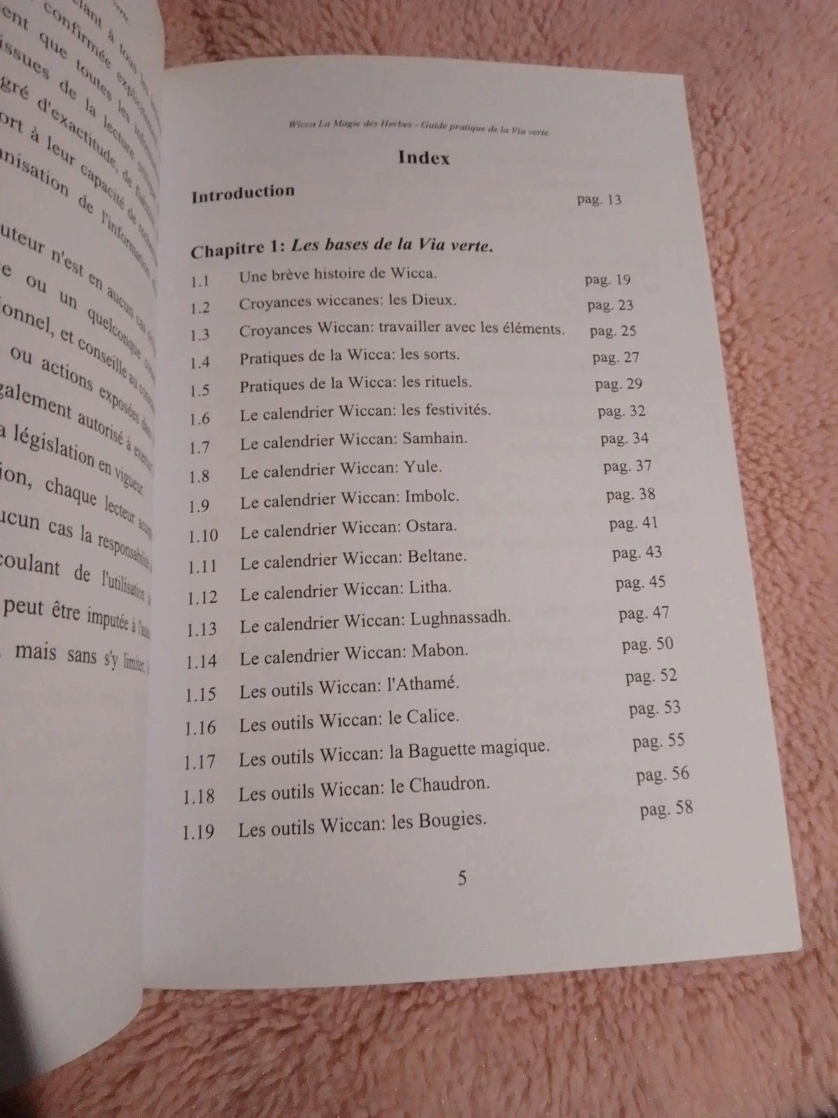 Wicca a magia das ervas volume 2 – photo 3